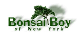 One of a Kind Bonsai Tree Specimens Starting From $89.95